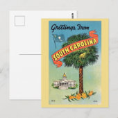 南カロライナのキャベッジパーム ポストカード (正面/裏面)