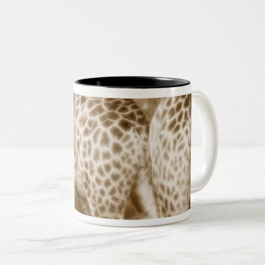 南キリンのKrugerの国立公園のクローズアップ ツートーンマグカップ (正面右)