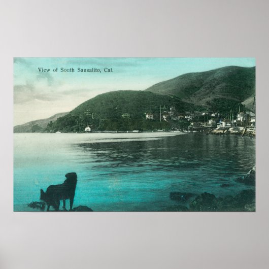 南サウサリートの海岸線ビュー（カリフォルニア州） ポスター (正面)