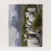 南ジョージアのキングペンギンと山 ジグソーパズル (縦)