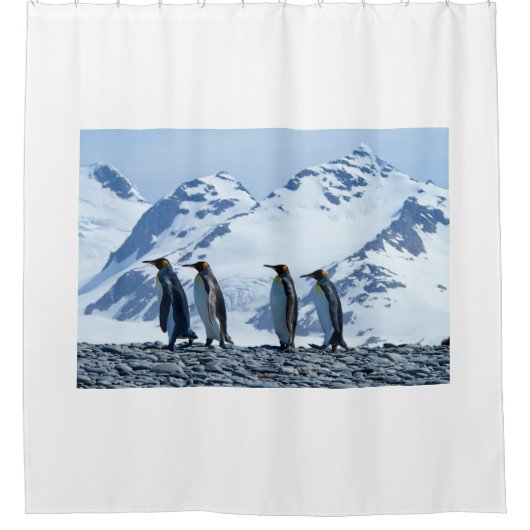 南ジョージアのキングペンギン シャワーカーテン (正面)