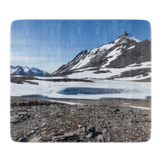 南ジョージアの風景 カッティングボード (正面)