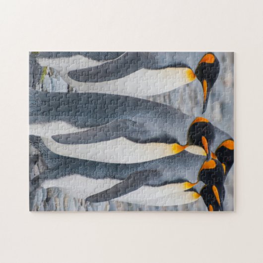 南ジョージアキングペンギン ジグソーパズル (横)