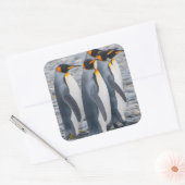 南ジョージアキングペンギン スクエアシール (封筒)