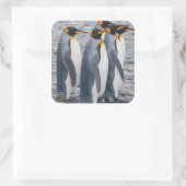 南ジョージアキングペンギン スクエアシール (バッグ)