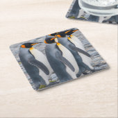 南ジョージアキングペンギン スクエアペーパーコースター (アングル)