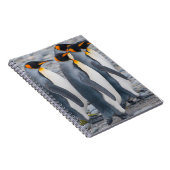 南ジョージアキングペンギン ノートブック (右側)