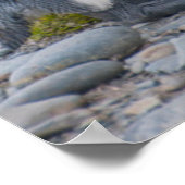 南ジョージアキングペンギン ポスター (角)