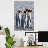 南ジョージアキングペンギン ポスター (ホームオフィス)