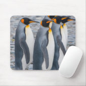 南ジョージアキングペンギン マウスパッド (マウス)