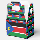 南スーダン国旗 フェイバーボックス (オープン)