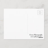 南セントポール教会 ポストカード (裏面)