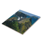 南チャネル諸島の国立公園 タイル (側面)