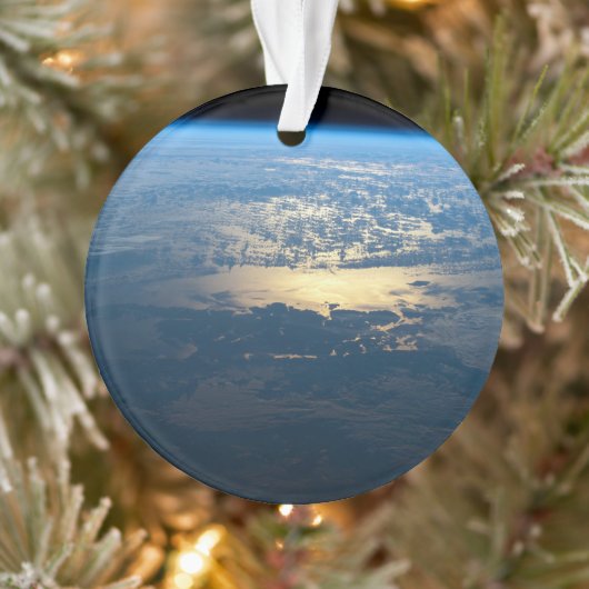 南チリのラグーナサンラファエル国立公園。 オーナメント (ツリー)