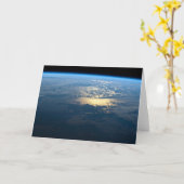 南チリのラグーナサンラファエル国立公園。 カード (黄色い花)