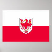 南チロル（イタリア） ポスター (正面)