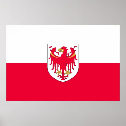 南チロル（イタリア） ポスター (正面)