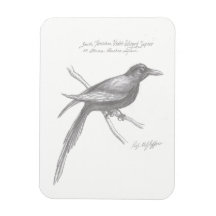 南ティルニシャンバイオレット翼サピアマグネット