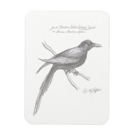 南ティルニシャンバイオレット翼サピアマグネット マグネット