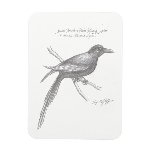 南ティルニシャンバイオレット翼サピアマグネット マグネット (縦)