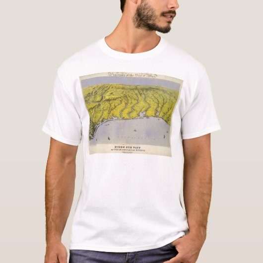 南テキサス州 Tシャツ (正面)