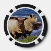 南デヴォンコーストクリフエッジ上の2つの子羊 ポーカーチップ (裏面)