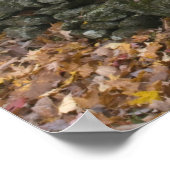 南バーモントの道をタイヤが揺れる ポスター (角)