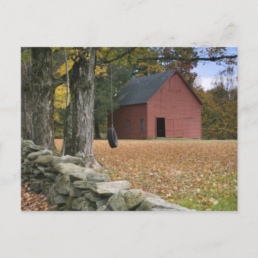 南バーモントの道をタイヤが揺れる ポストカード (正面)