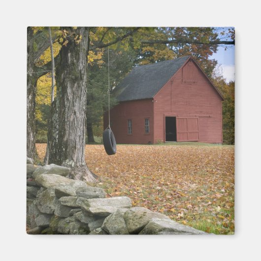 南バーモントの道をタイヤが揺れる マグネット (正面)