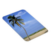 南ビーチ,マイアミビーチ,フロリダ州,アメリカ マグネット (右側)