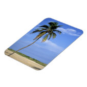 南ビーチ,マイアミビーチ,フロリダ州,アメリカ マグネット (左側)