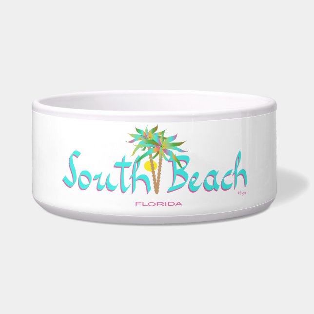 南ビーチ、マイアミ、フロリダ ボウル (正面)