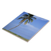 南ビーチ、Miami Beach、フロリダ、米国 タイル (側面)