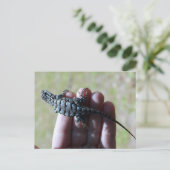 南フェンスリザードポストカード ポストカード (スタンド正面)