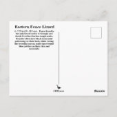 南フェンスリザードポストカード ポストカード (裏面)