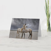 南フランスのカマルグの馬の牡獅子のペア カード (正面)