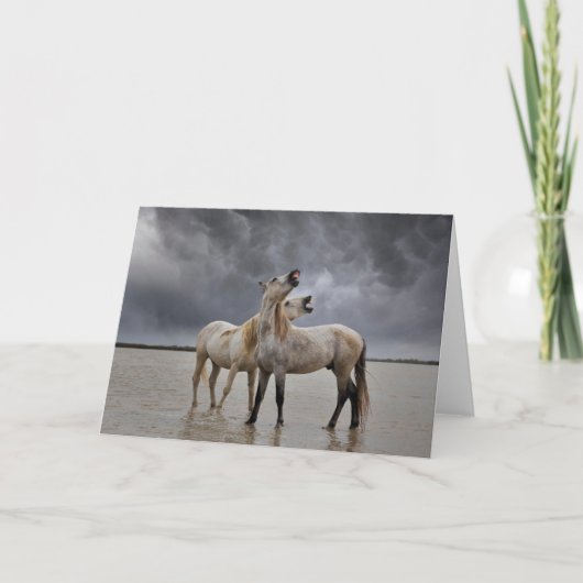 南フランスのカマルグの馬の牡獅子のペア カード (正面)