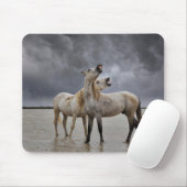 南フランスのカマルグの馬の牡獅子のペア マウスパッド (マウス)