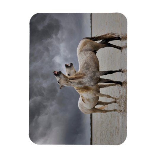 南フランスのカマルグの馬の牡獅子のペア マグネット (縦)