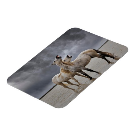 南フランスのカマルグの馬の牡獅子のペア マグネット (左側)