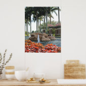 南フロリダ噴水ポスター ポスター (キッチン)