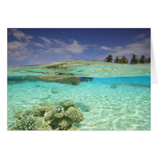 南フワドゥアトール、モルジブ、インディアン (正面横)