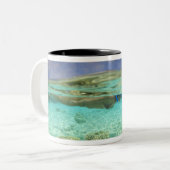 南フワドゥアトール、モルジブ、インディアン ツートーンマグカップ (正面左)