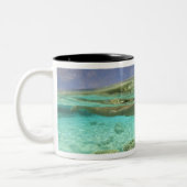 南フワドゥアトール、モルジブ、インディアン ツートーンマグカップ (左)