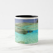 南フワドゥアトール、モルジブ、インディアン ツートーンマグカップ (中央)