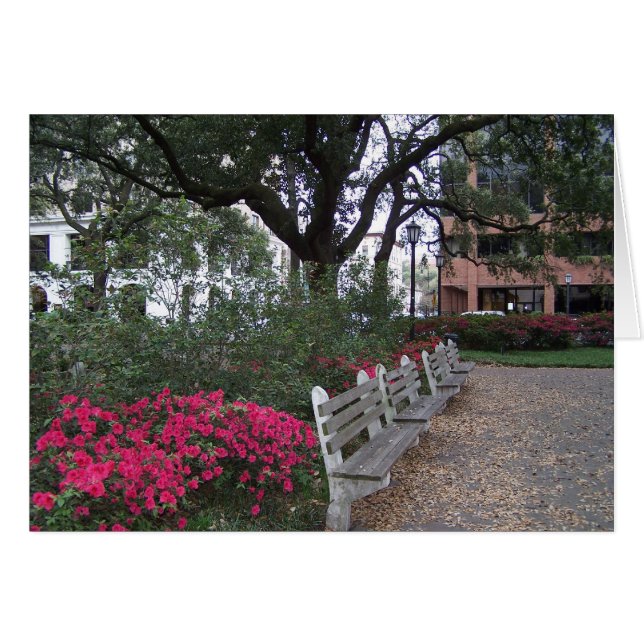 南ホスピタリティカード (正面横)