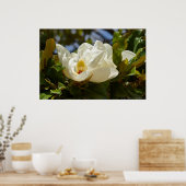 南マグノリアがポスタ葉ーに咲く ポスター (キッチン)