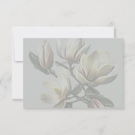 南マグノリア結婚の願い井戸のメッセージ ノートカード (裏面)