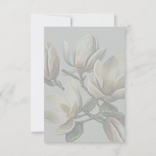 南マグノリア結婚の願い井戸のメッセージ ノートカード (裏面)