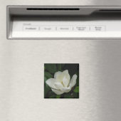 南マグノリア マグネット (インサイチュ (食洗機))